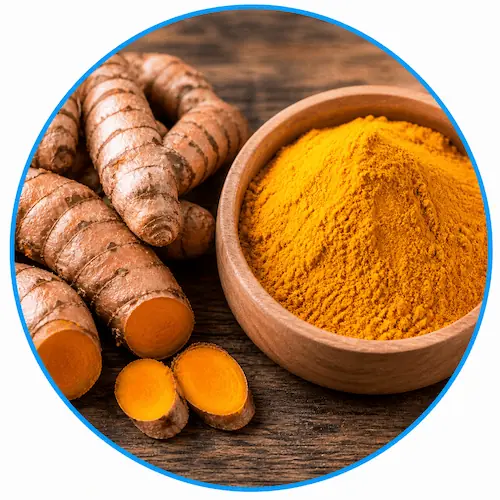 Pure Himalayan Turmeric root and orange powder - a traditional botanical ingredient used for wellness support.